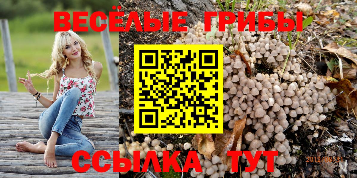 Псилоцибиновые грибы ЛСД  Галлюциногенные грибы мухоморы  Казань  Вход с VPN 